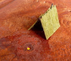 �����ФΥ�����餷������Ф�