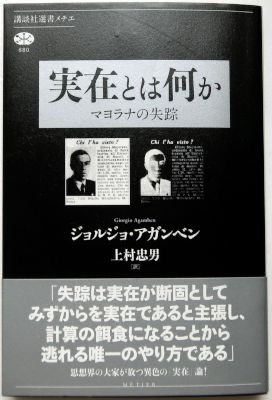 「実在とは何か」
