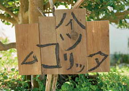 「ハイツムコリッタ」